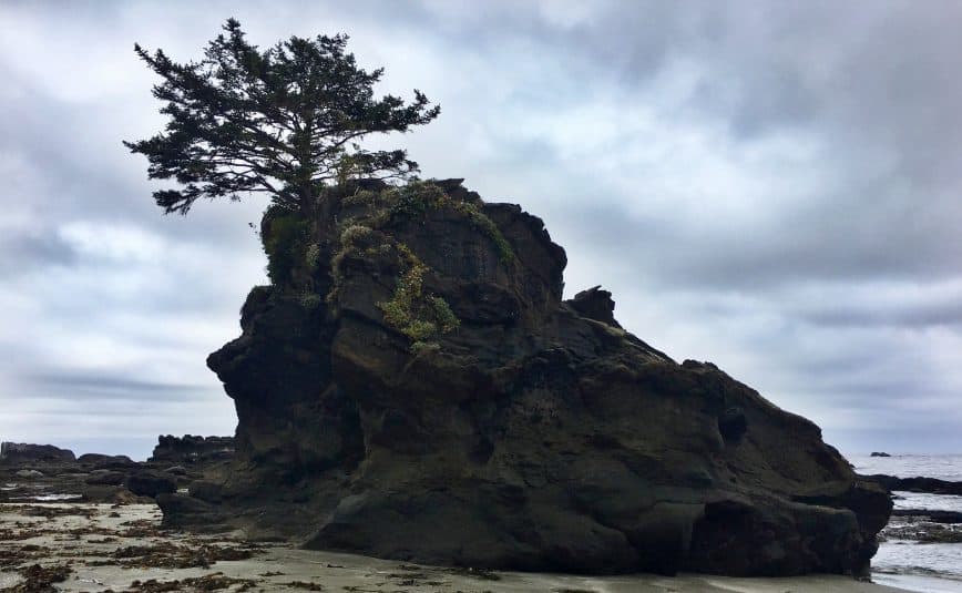 Carmanah Point
