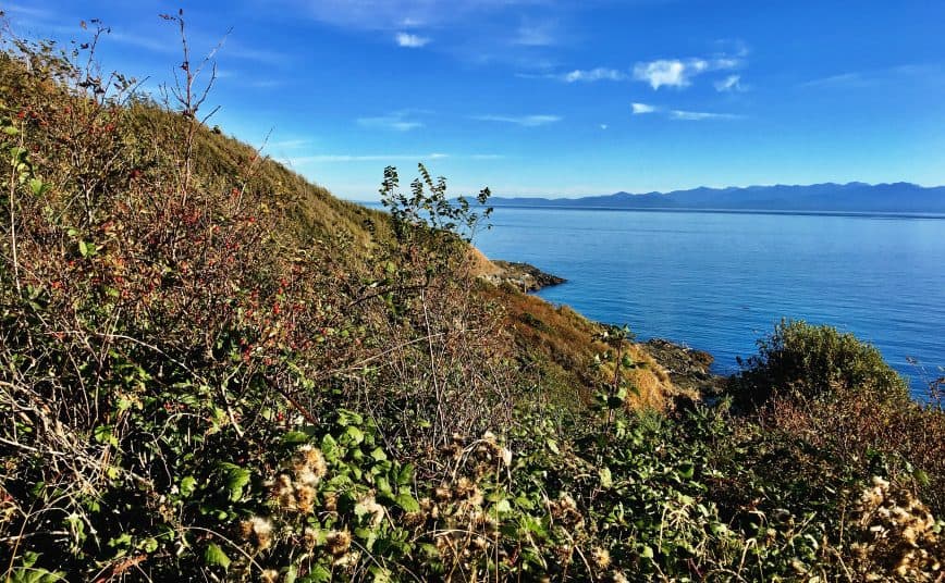 Juan de Fuca Straight