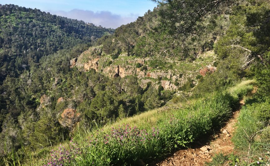 The walk to Jerusalem