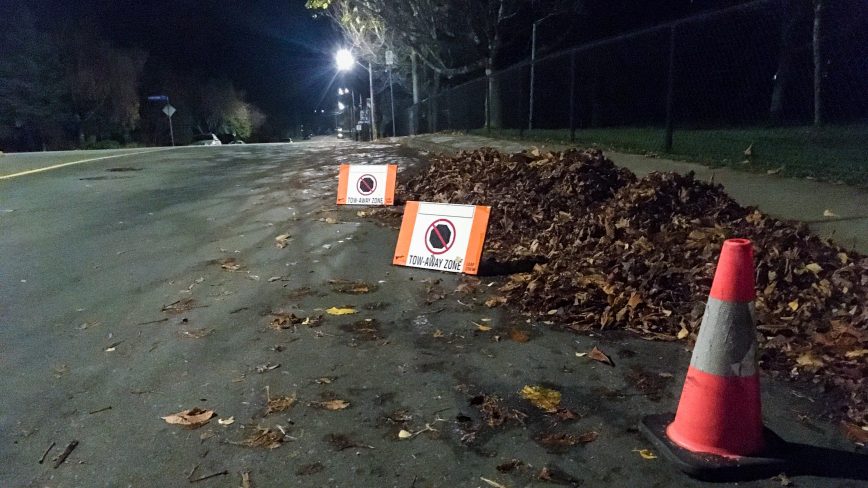 Leave those leaves alone.