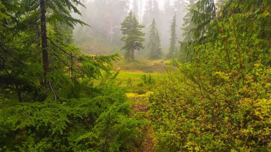 Port Alberni to Mount Irwin