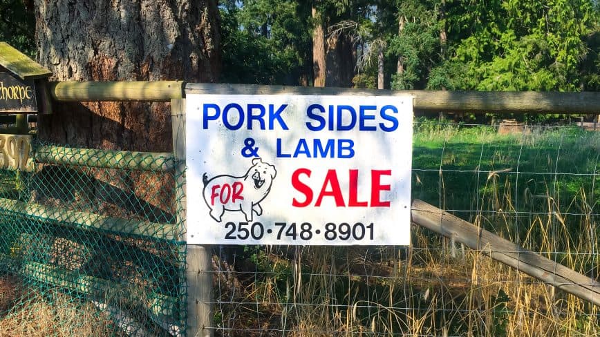 Another side of bacon.