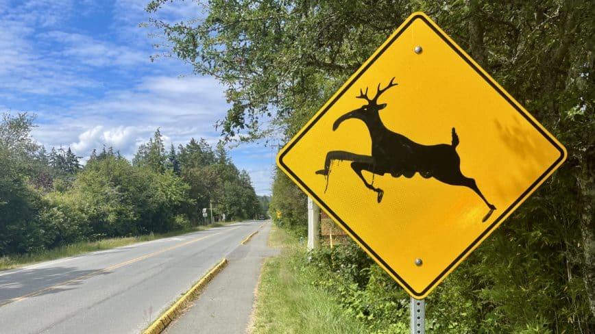 Reindeer lanes