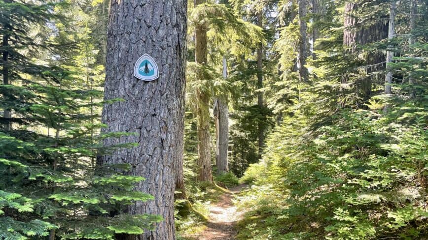 Snoqualmie Pass to Cabin Creek