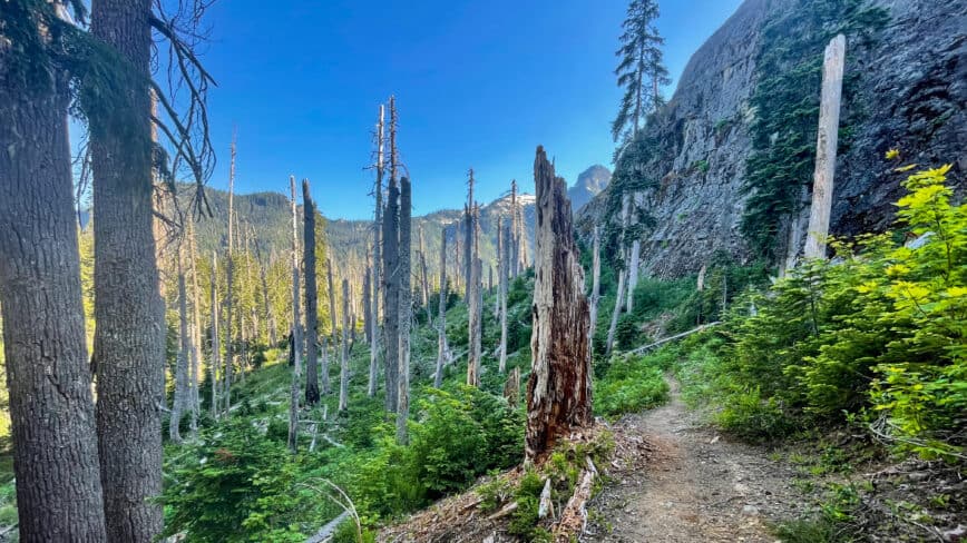 Spinola Creek to Chikamin Ridge