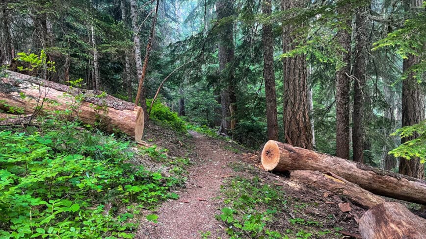 Hood Creek to Clackamas Lake