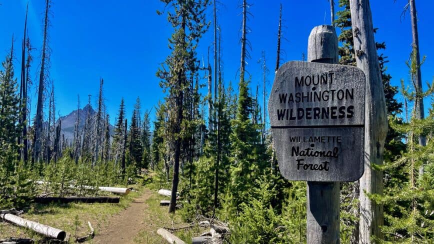 Three Fingered Jack to Mount Washington