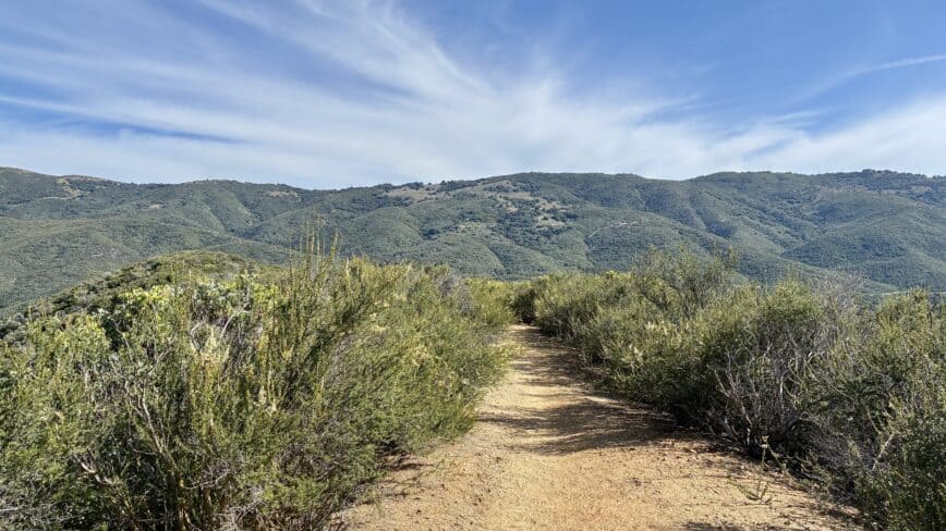 Lake Hughes Road to Martindale Canyon