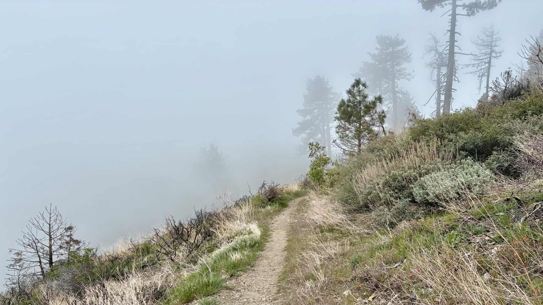 Mount Baden-Powell to Blue Ridge