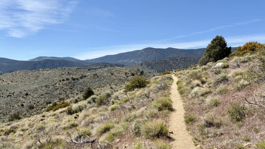 Big Bear to Coon Creek