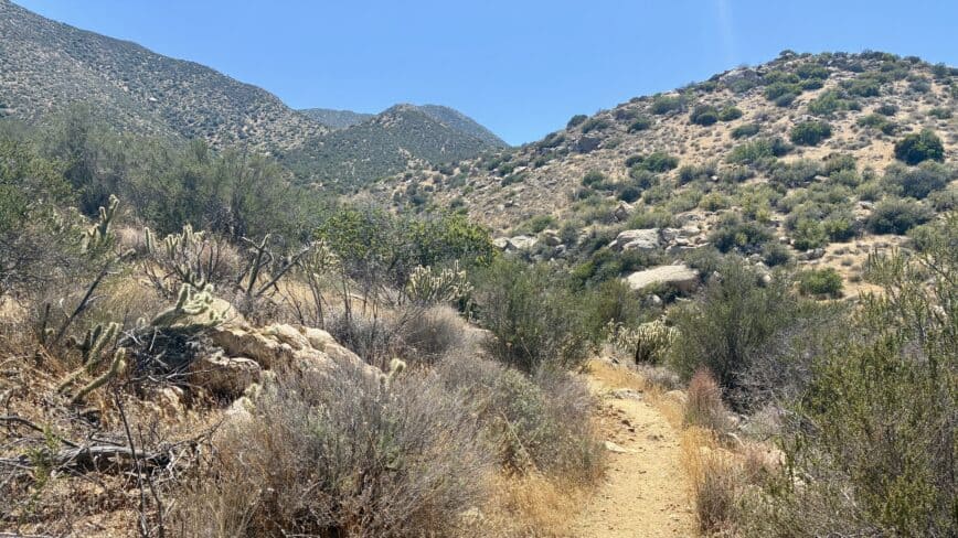 Scissors Crossing to Chariot Canyon